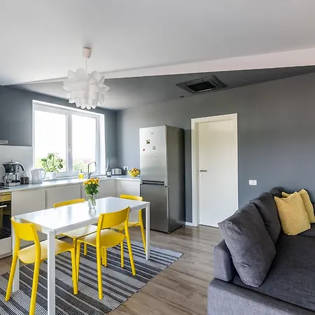 Chic Penthouse Apartment Timisoara