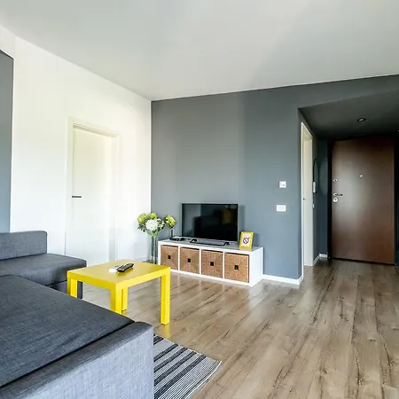Chic Penthouse Timisoara