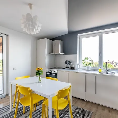 Chic Penthouse Apartment Timisoara